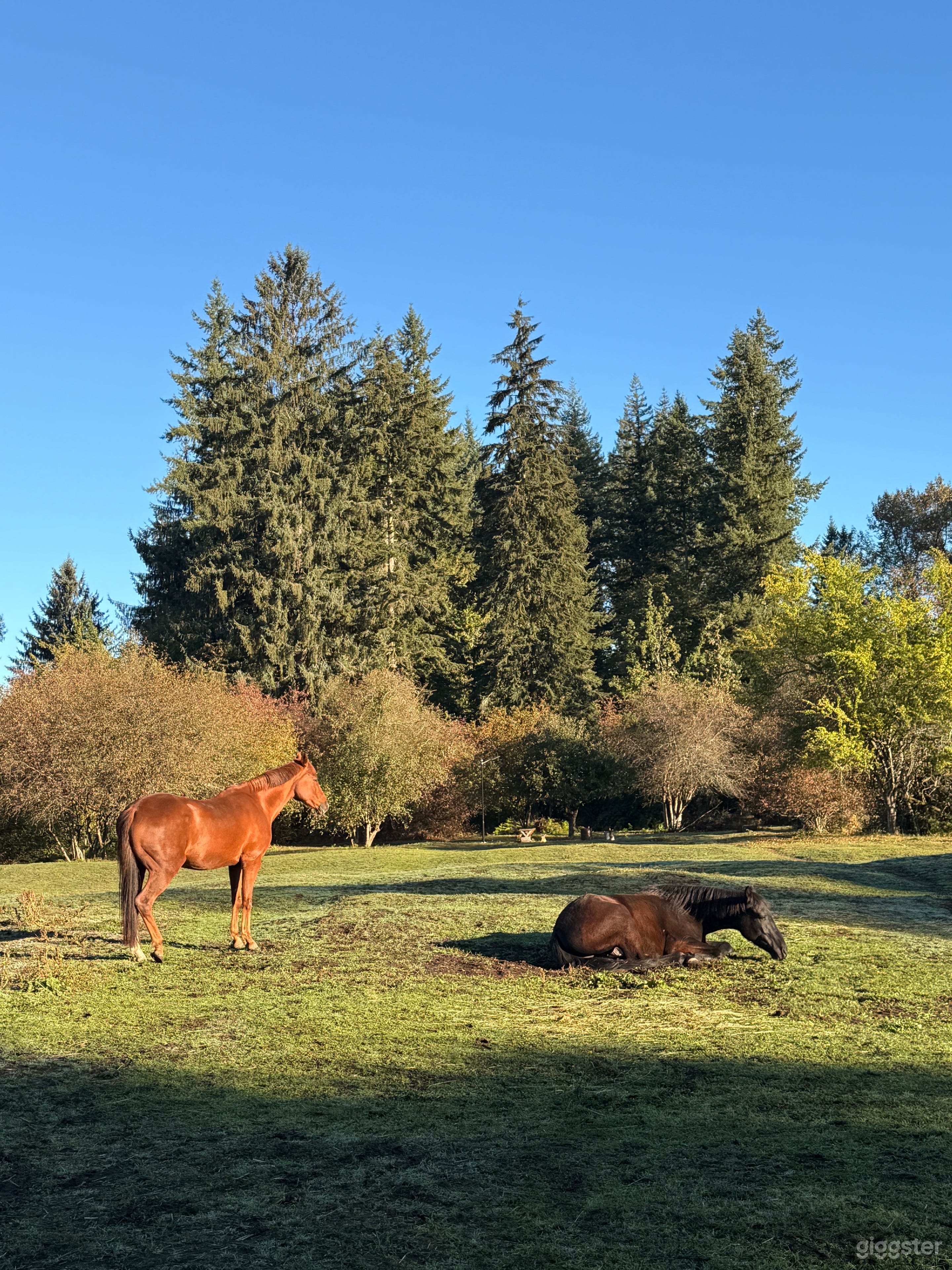 Country-Style Acreage with Barn, Fields & Horses Photo 1