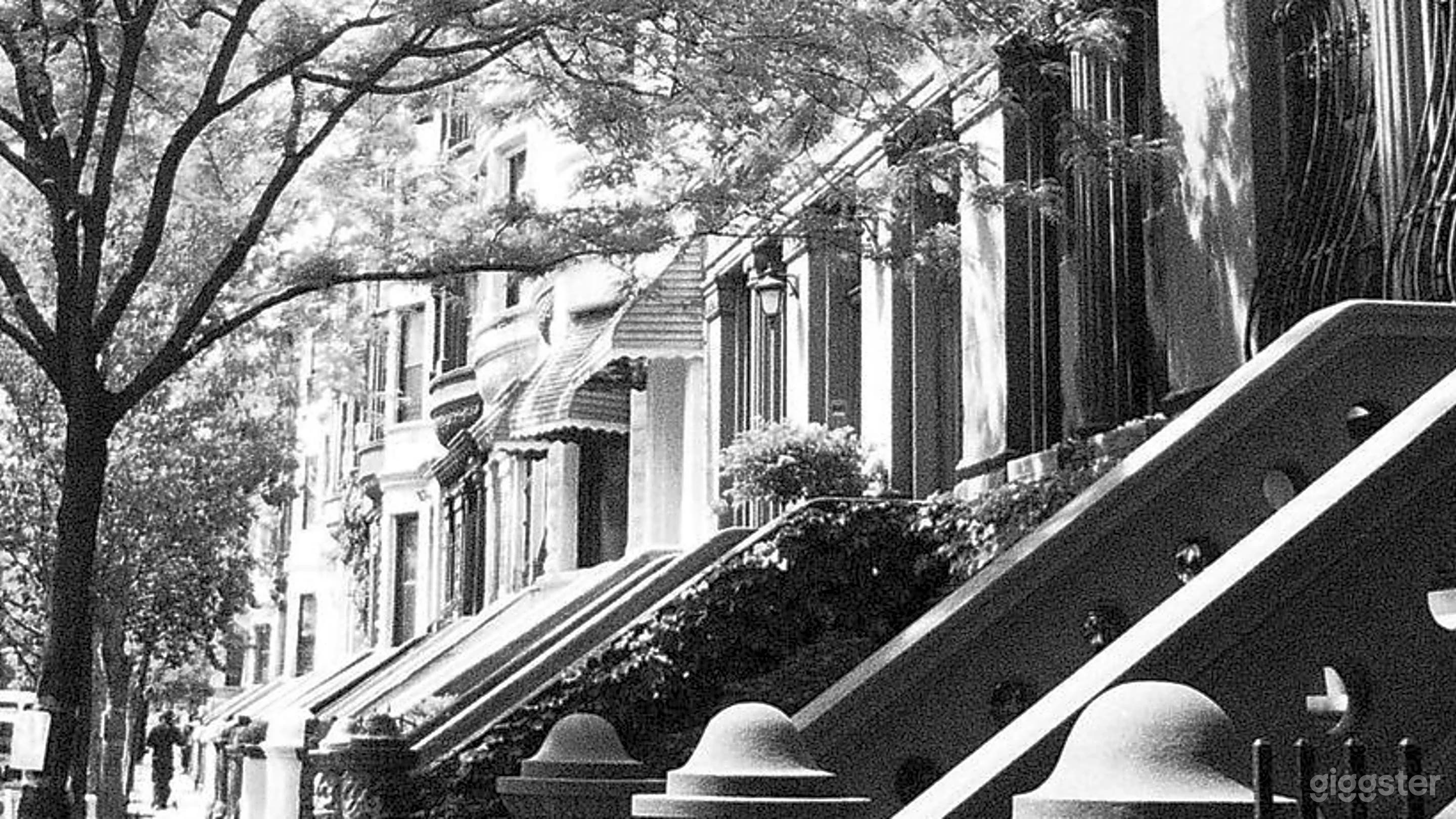 Typical quiet tree lined brownstone blaock.