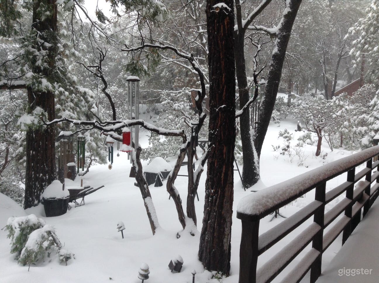 Chalet in the woods Photo 1