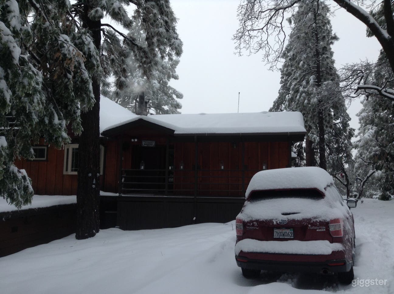 Chalet in the woods Photo 2