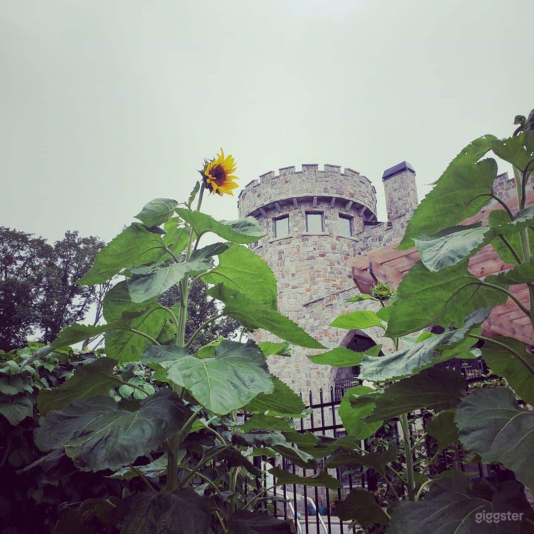 Gothic Modern Castle Photo 2