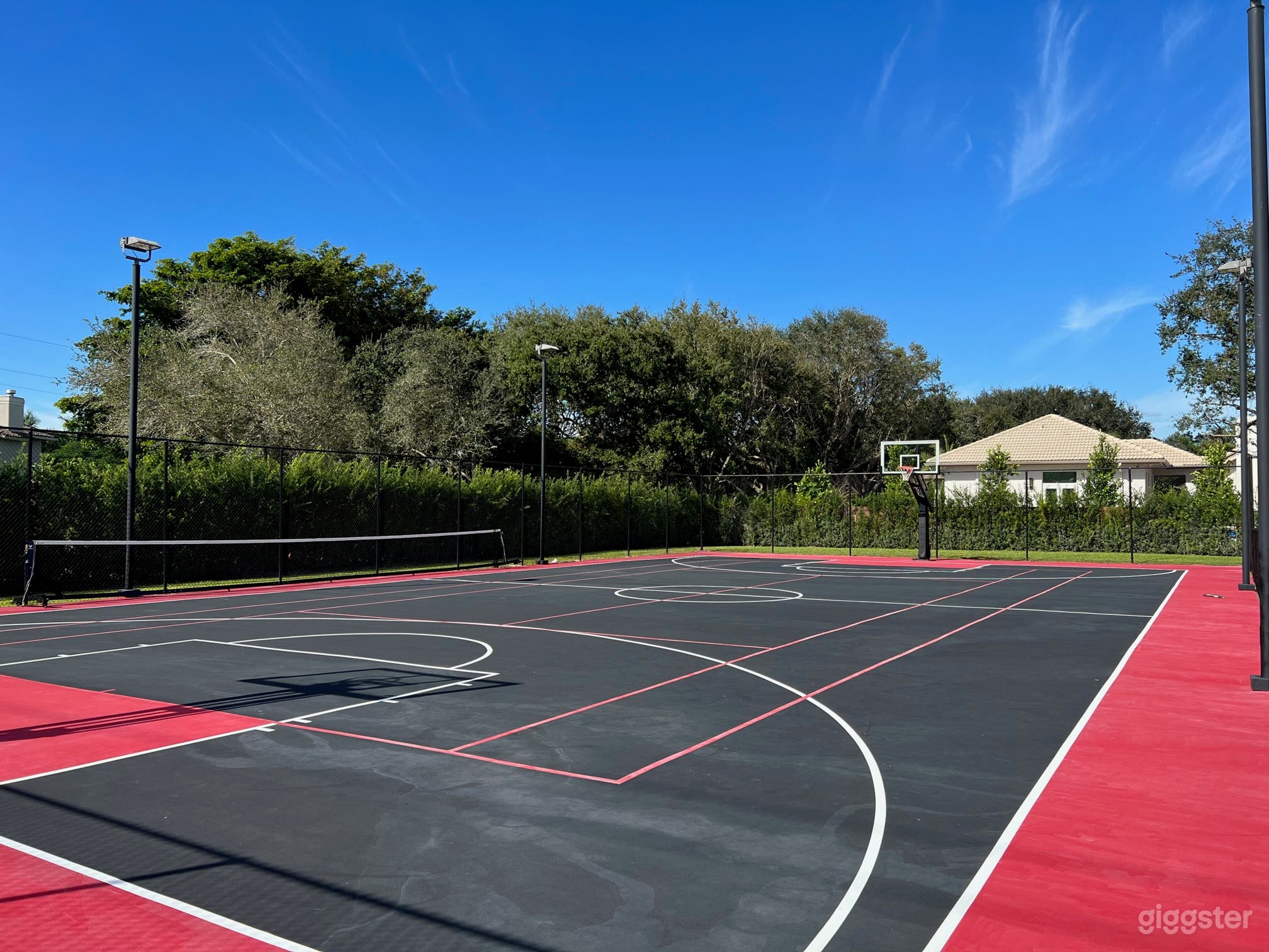 Full NBA Legal-sized Multi-purpose Basketball Court Photo 4