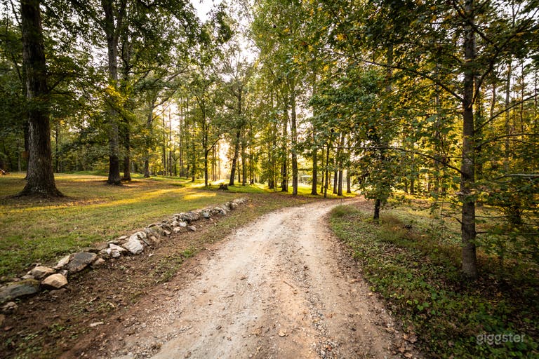  40 Acre Farm - Rustic Farmhouse - Homestead 