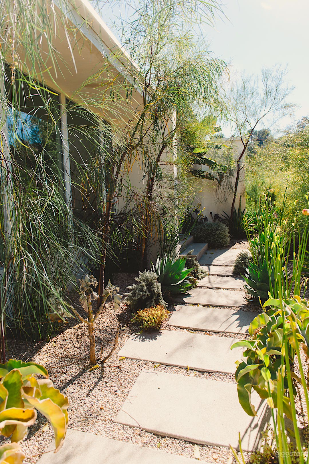 Cozy and Chic Mid-Century Home in the hills Photo 3