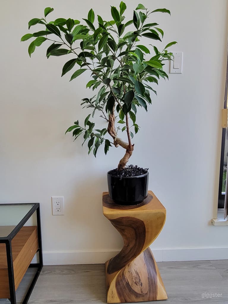  Unique Stylish Place Downtown Vancouver 