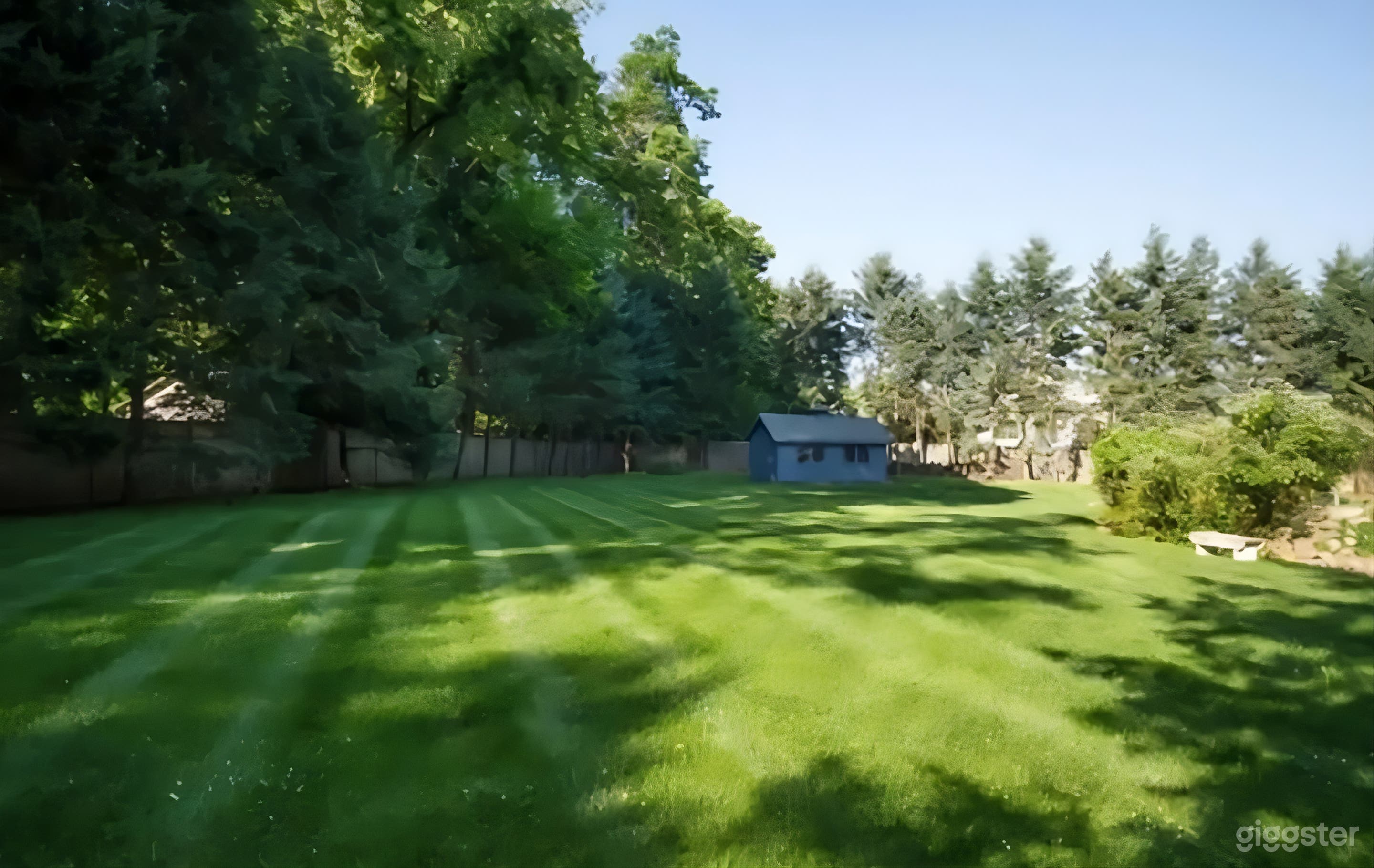 Ultimate Spacious and Serene Backyard Photo 2