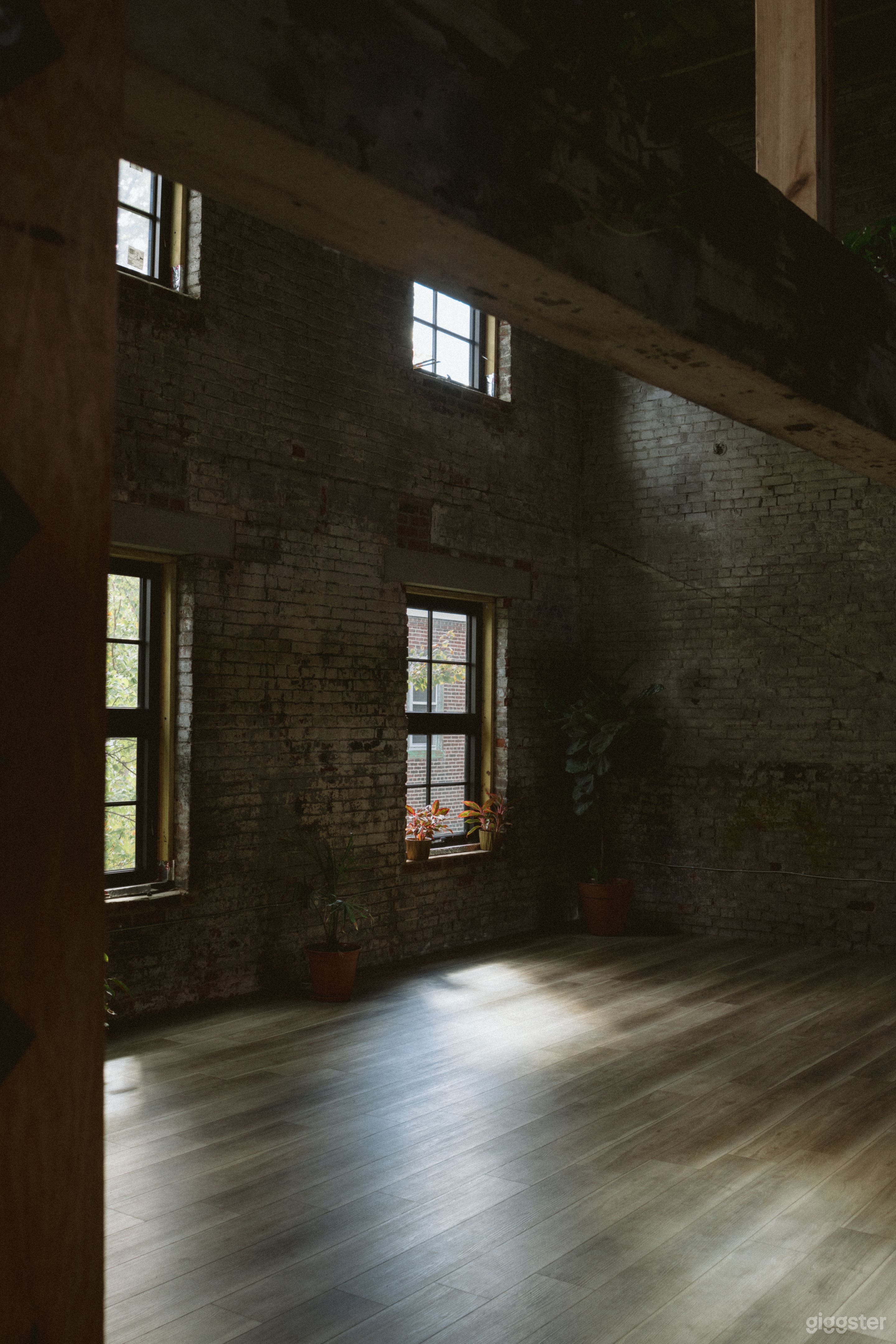 Sunlit Urban Oasis with Exposed Brick + Beams Photo 3