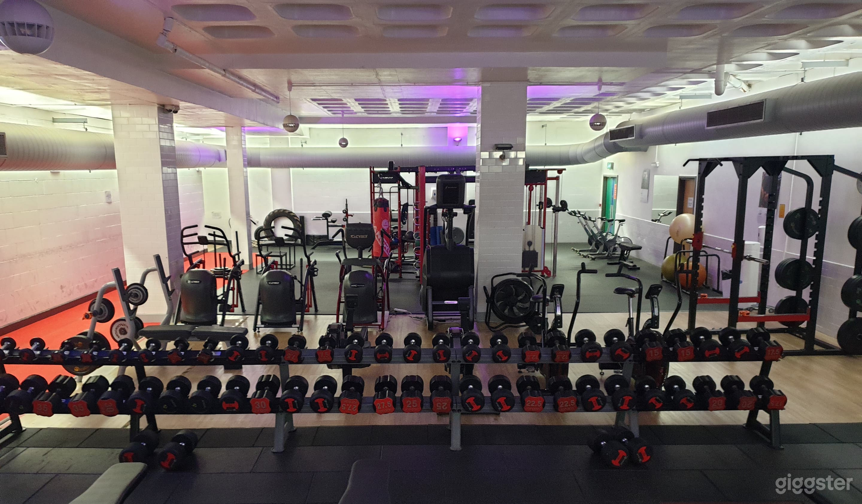 Back gym/functional training space