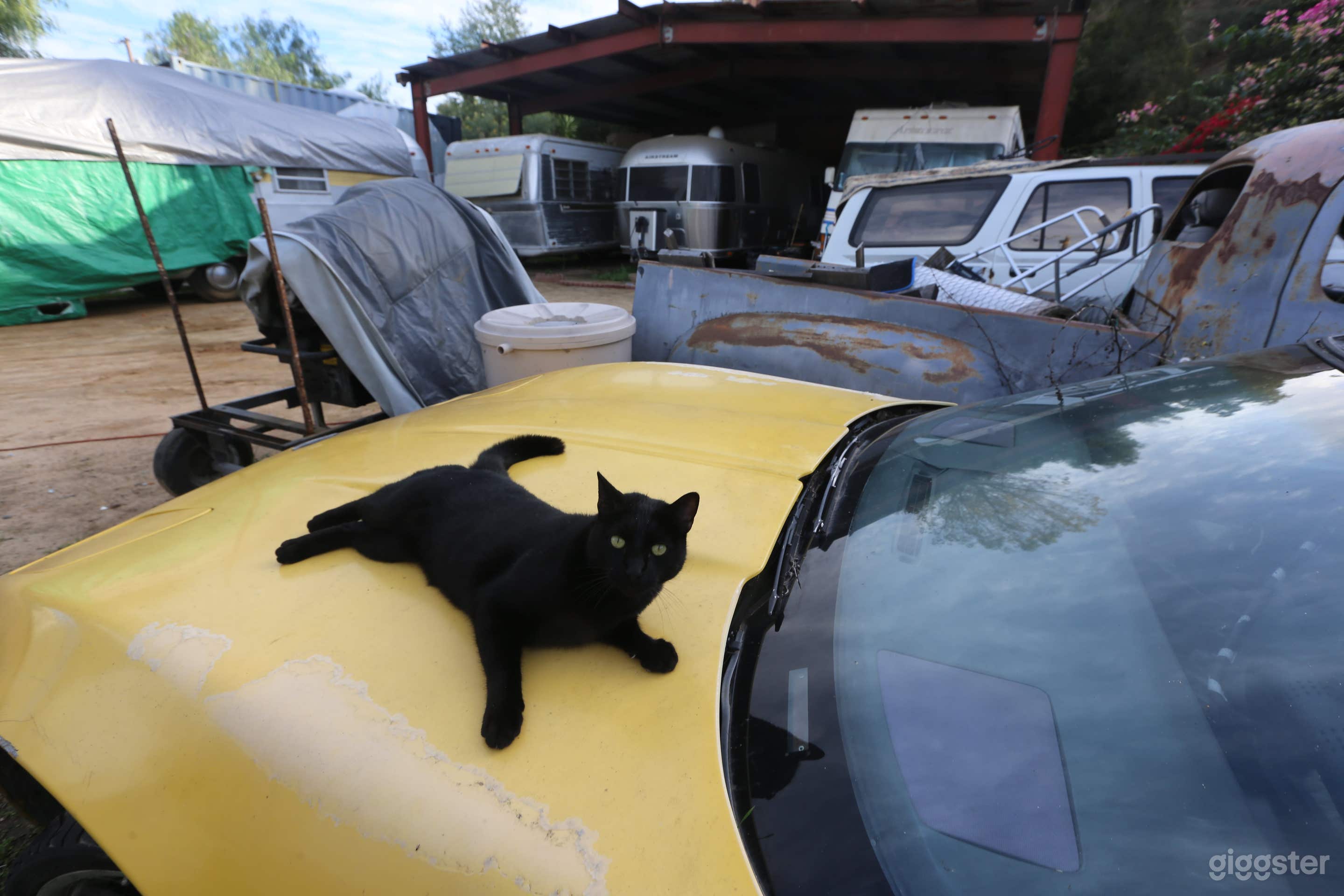 RV STORAGE YARD, MOVIE CAR REPAIR PARKING LOT Photo 3