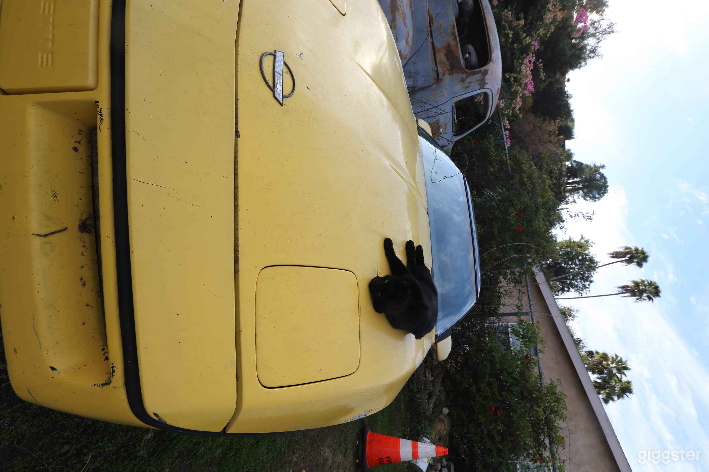 RV STORAGE YARD, MOVIE CAR REPAIR PARKING LOT Photo 4