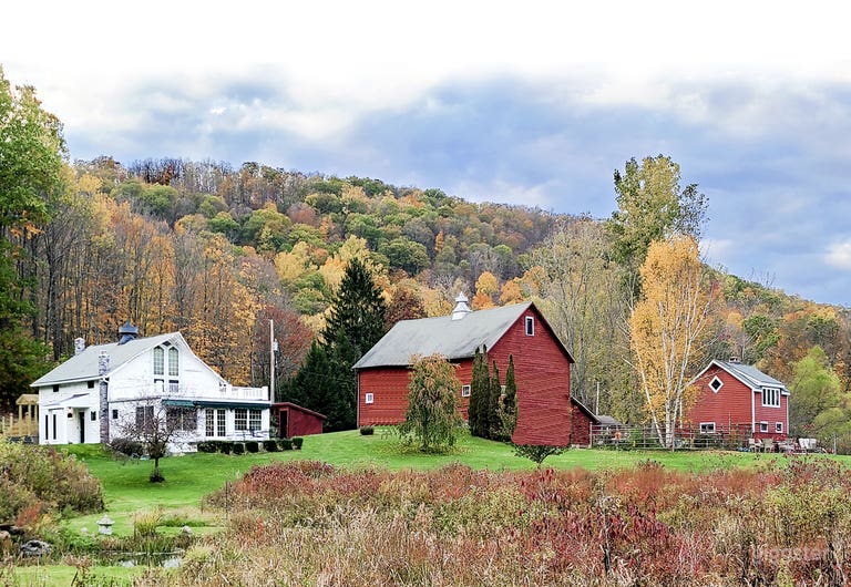  Estanque y campos estilo histórico en Hudson Valley 