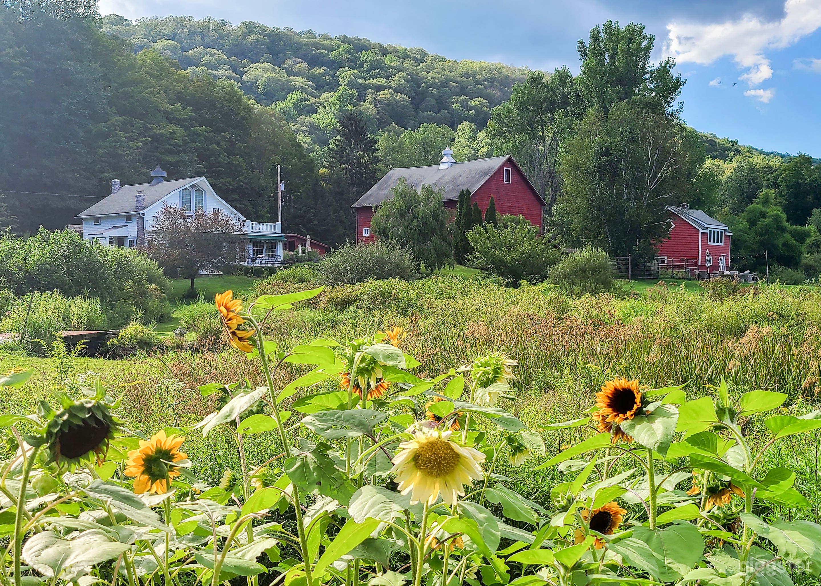 Historic Style Barn Pond & Fields – Hudson Valley Photo 2
