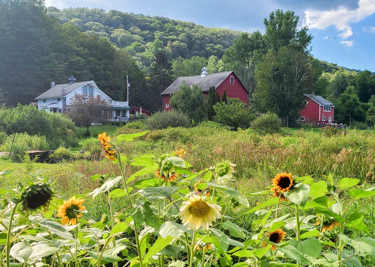  Estanque y campos estilo histórico en Hudson Valley 