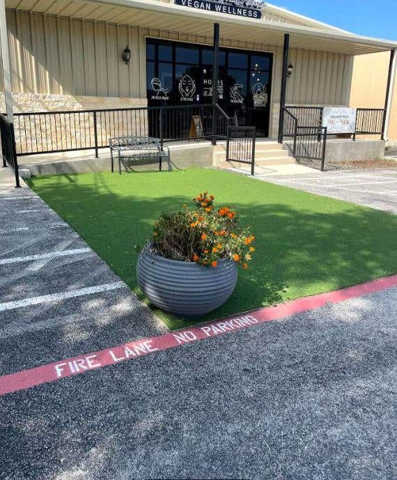 Serene outside greenery that is used for yoga sessions