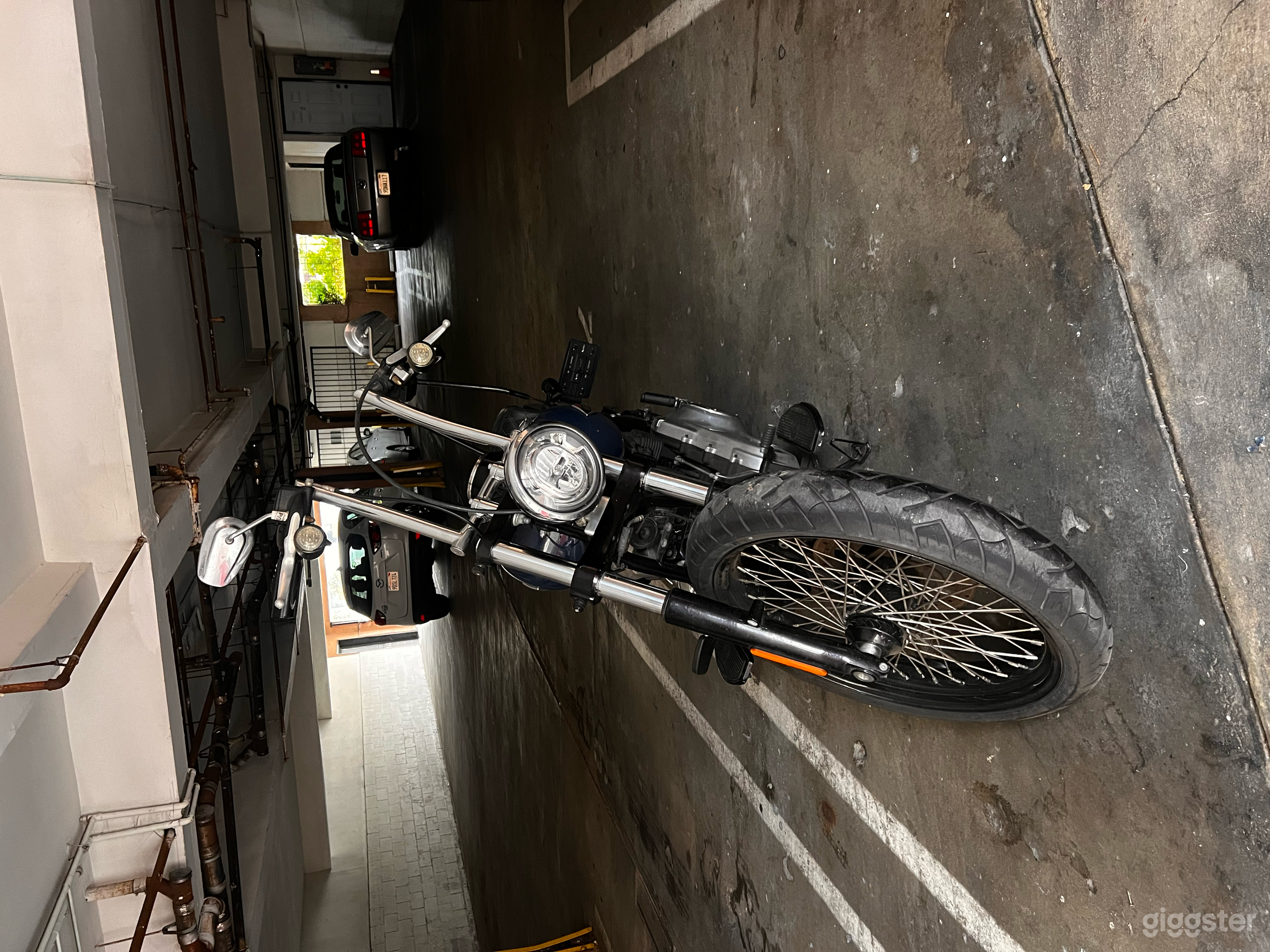 Soft Tail Harley Davidson Photo 3