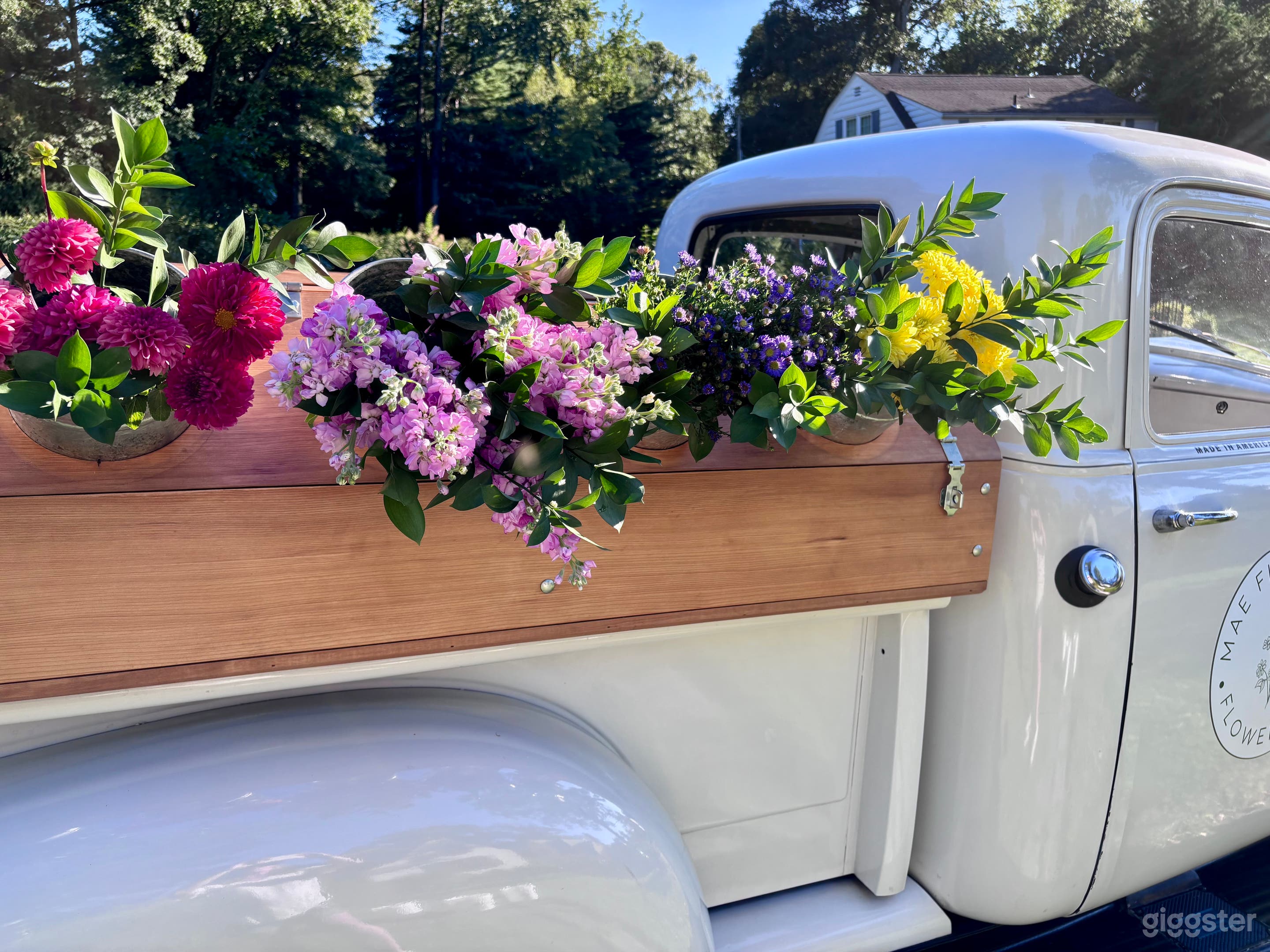 1954 Chevy 3100 Vintage Pickup + Flower Truck Photo 4