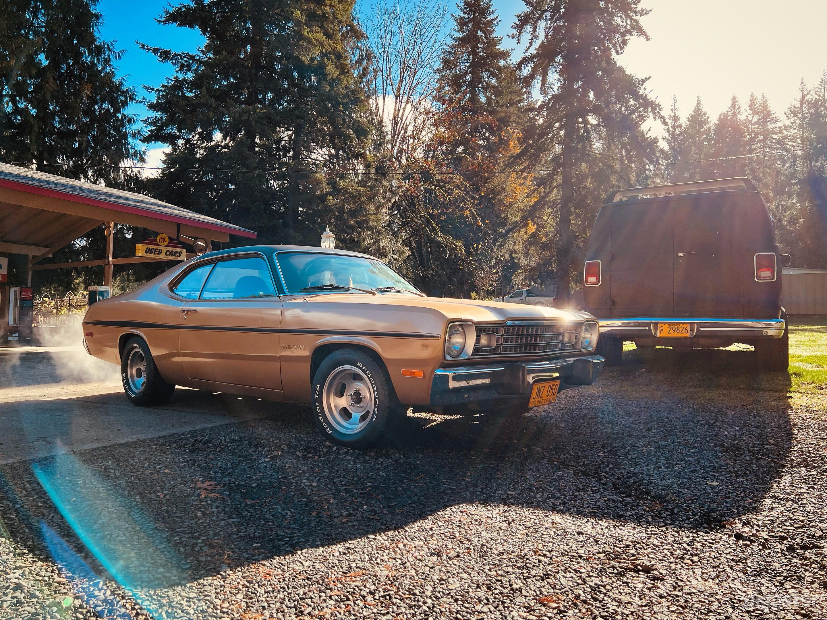 Rent Gold Digger for your sexy shoots Photo 4