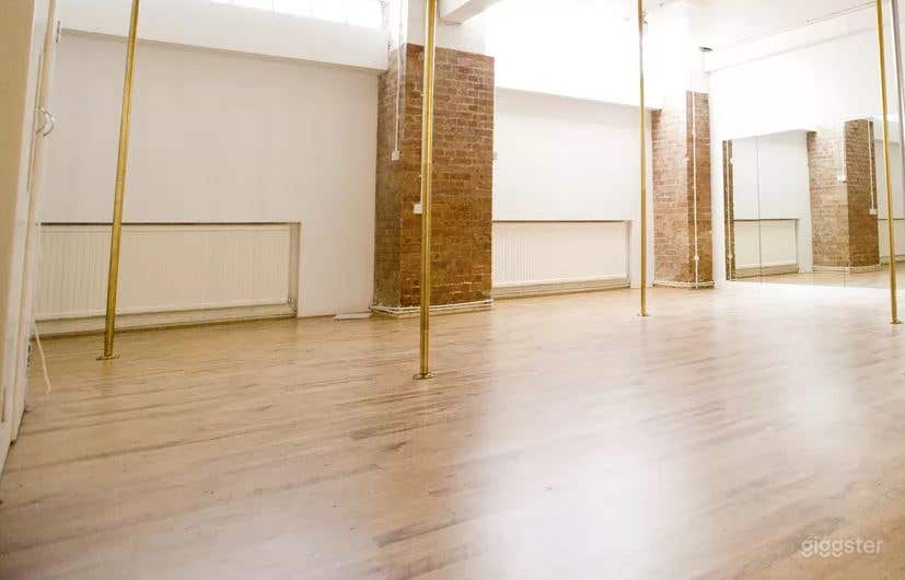 Bright Studio 2 with 7 Poles for Pole Dancing Photo 3