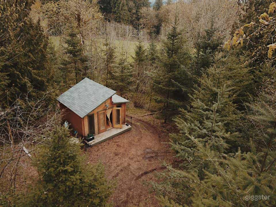 Sweet Relief Cottage Photo 4