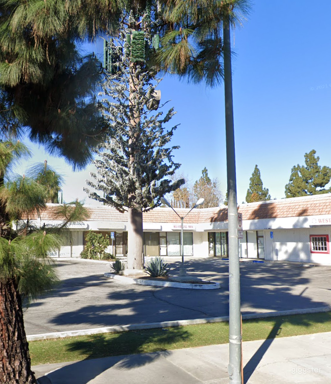 Shining Dance Studio Space Open for All Types of Events  Photo 3