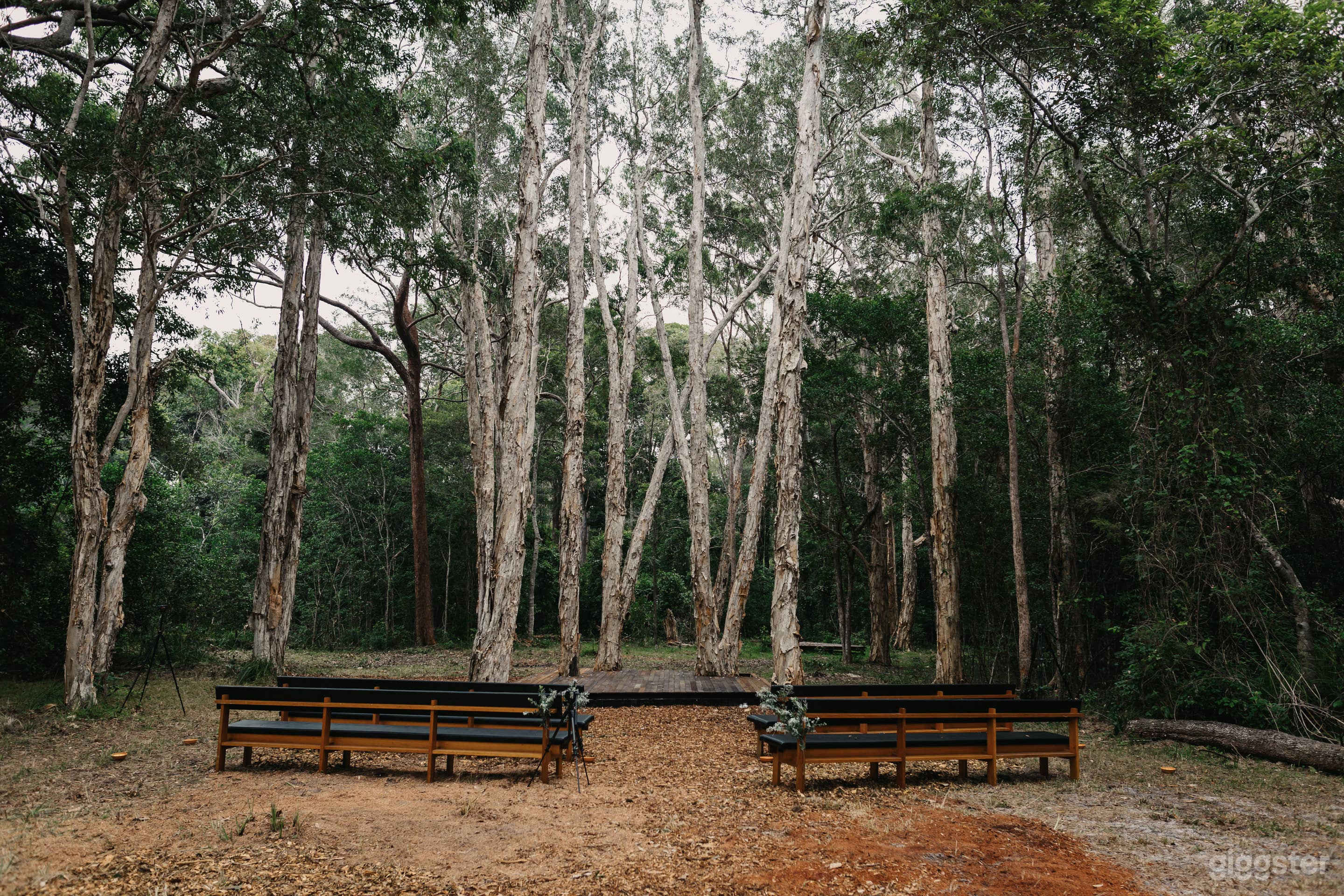 weddings &amp; events