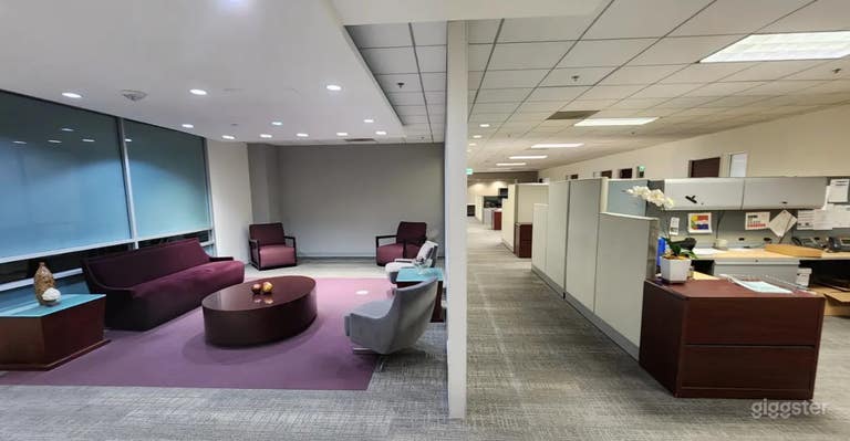  Versatile Co-working Space for filming 