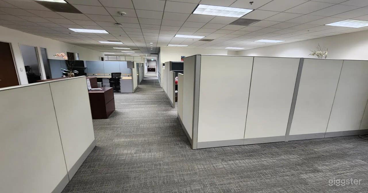 Versatile Co-working Space for filming Photo 4