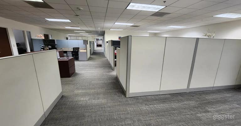  Versatile Co-working Space for filming 