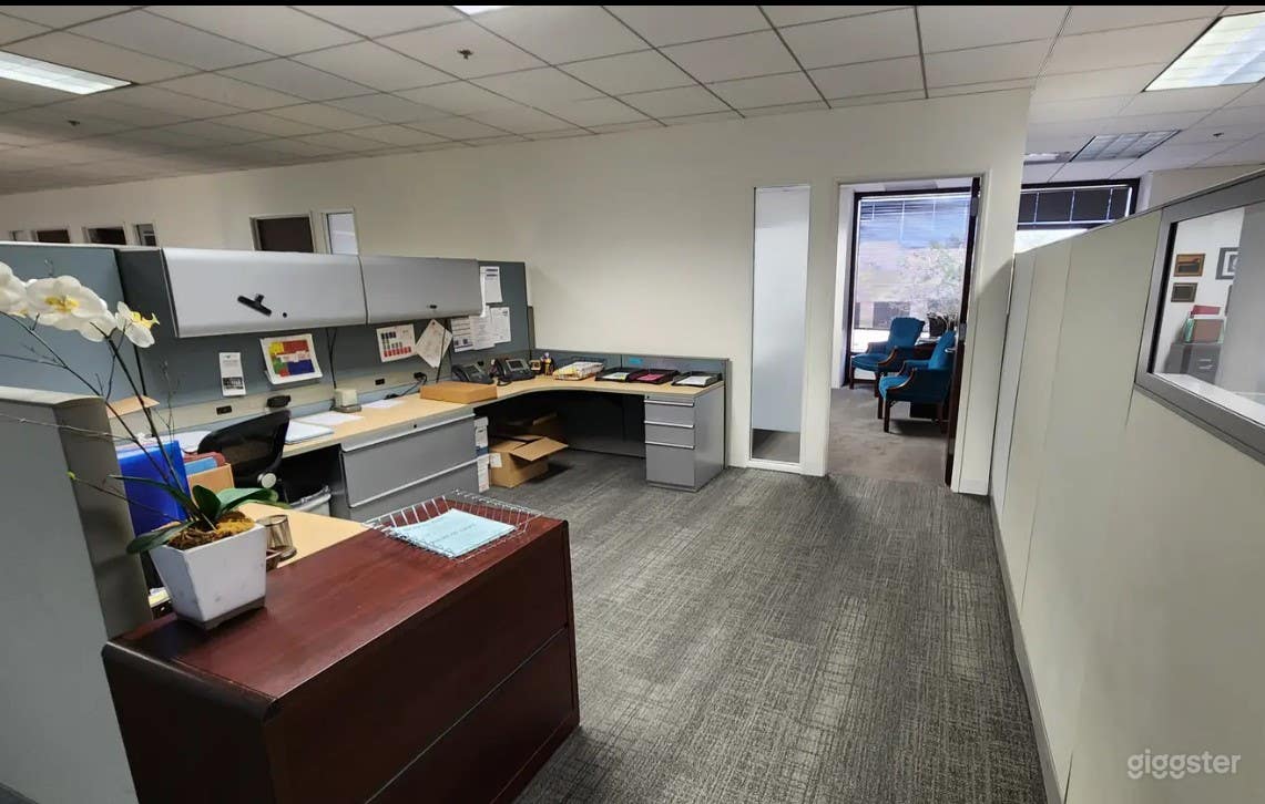 Versatile Co-working Space for filming Photo 1