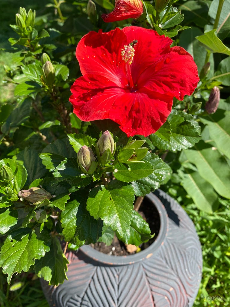  The 1922 Norwood Northwoods House 