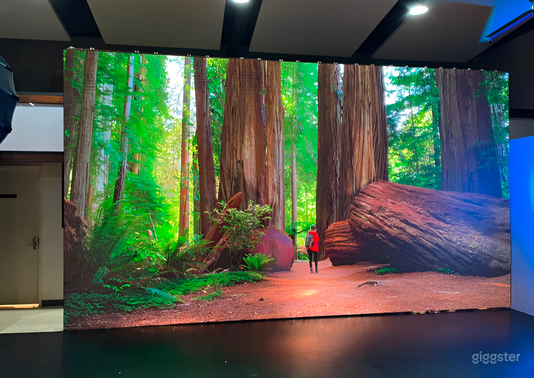  The Ultimate LED Event Space & Content Studio - Buyout 