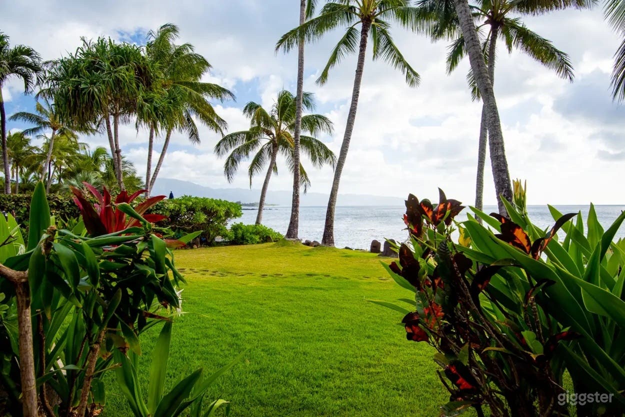 Oceanfront Backyard Wedding Haven Photo 2
