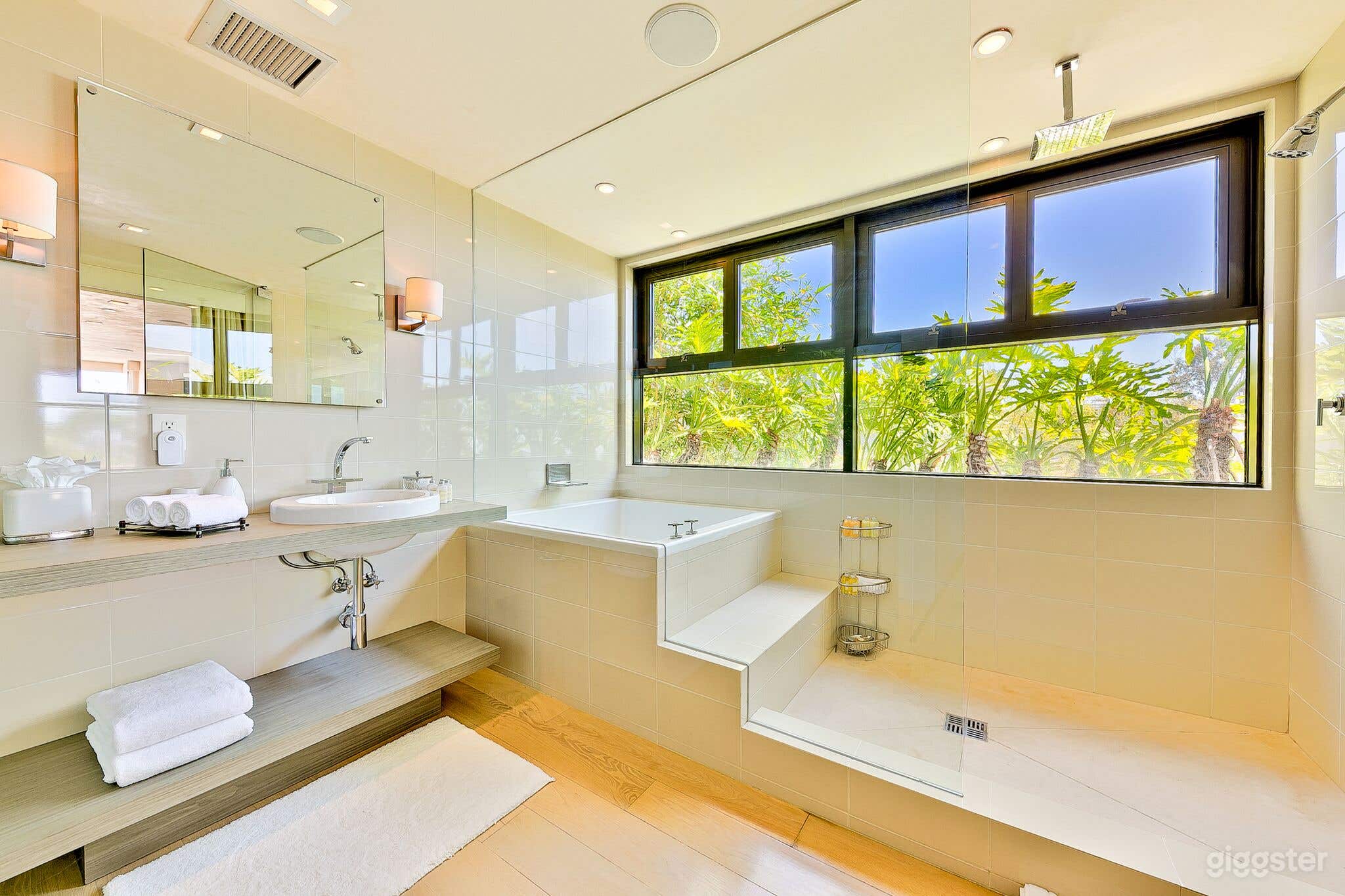 Blue Jay Modern Photo 3