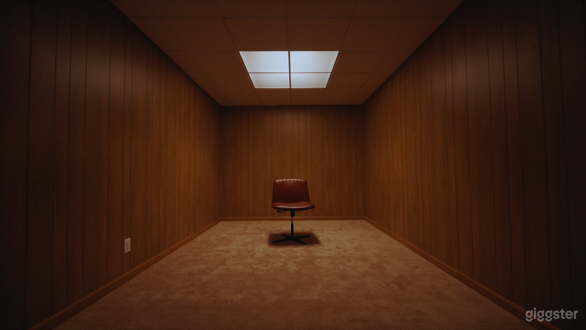 **NEW DISCOUNTED RATE** Multi set Studio Photo 4