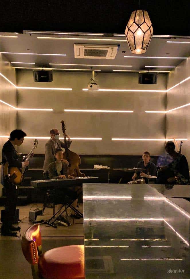 Karaoke VIP Room Photo 3