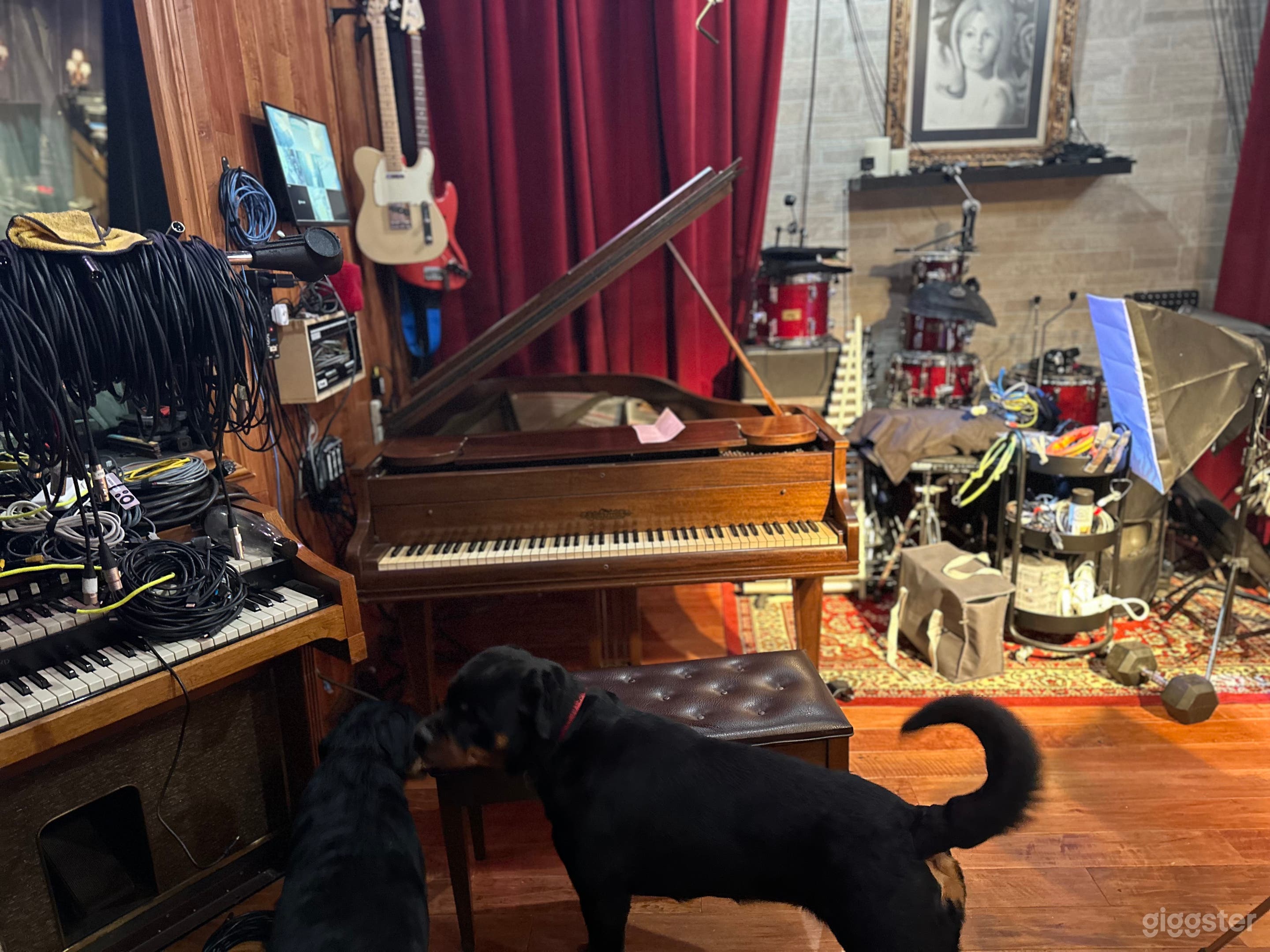 Podcast &amp; VO Studio w/ Pro Lighting + Engineer in OC Photo 4