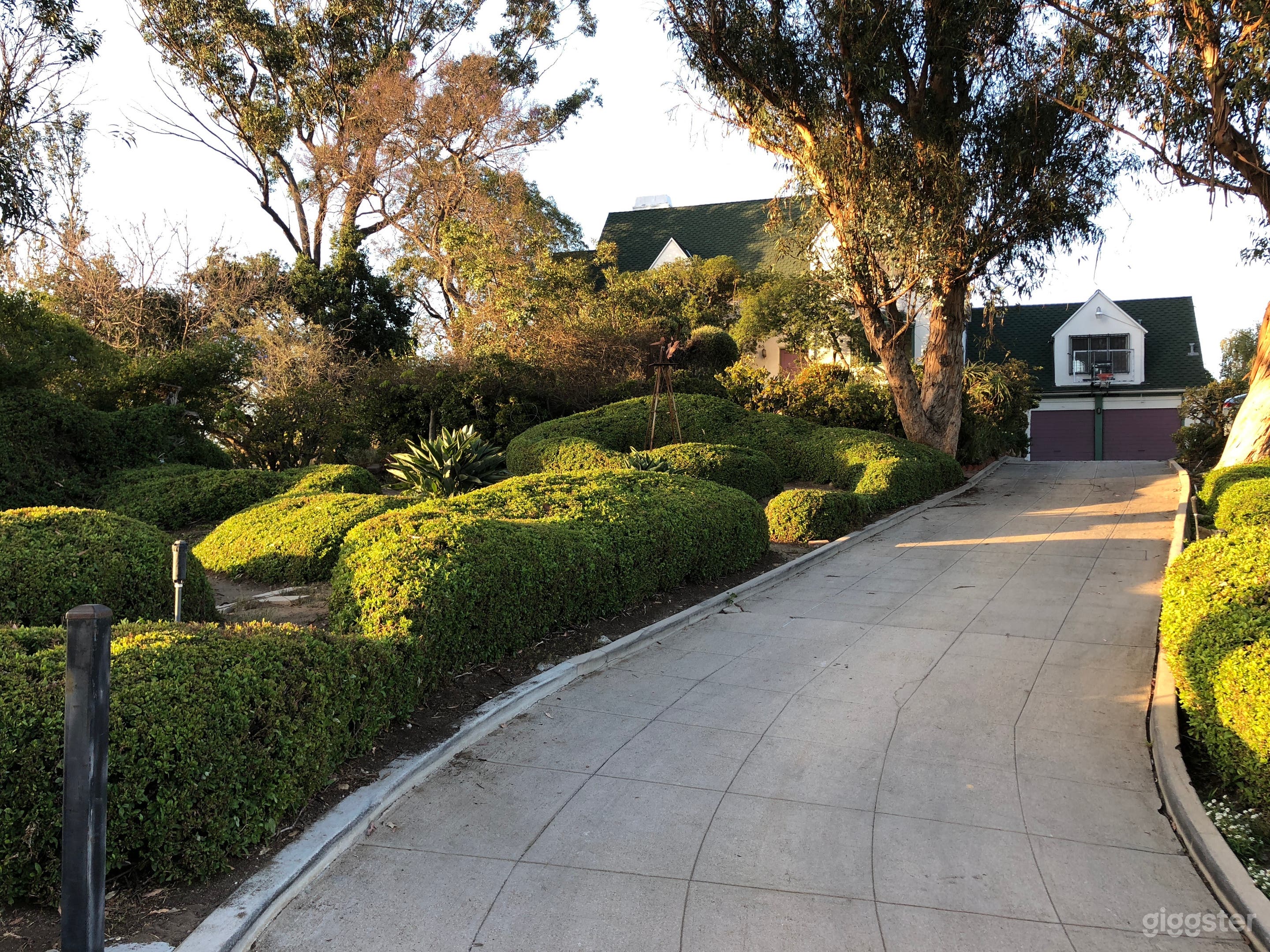 Driveway to the house