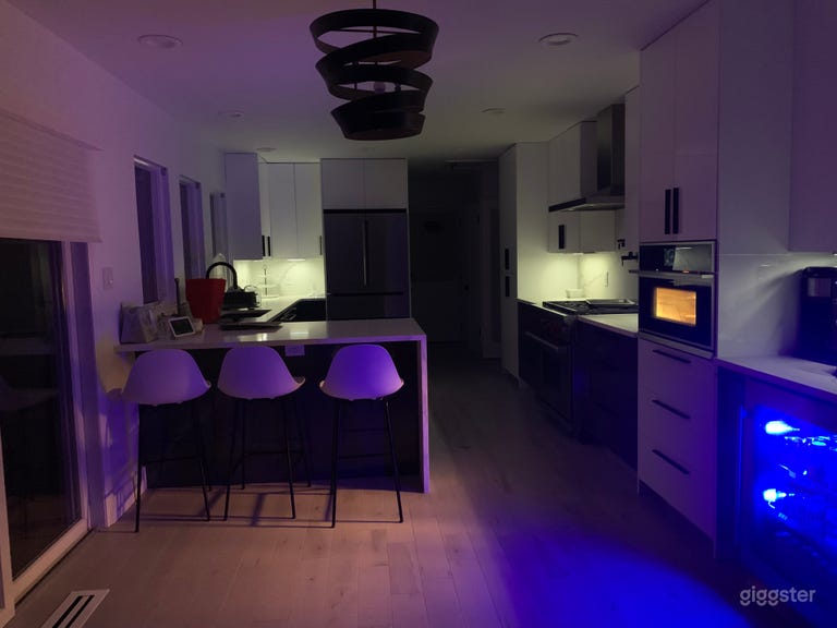  Newly Renovated Mid Century Modern Split Level 