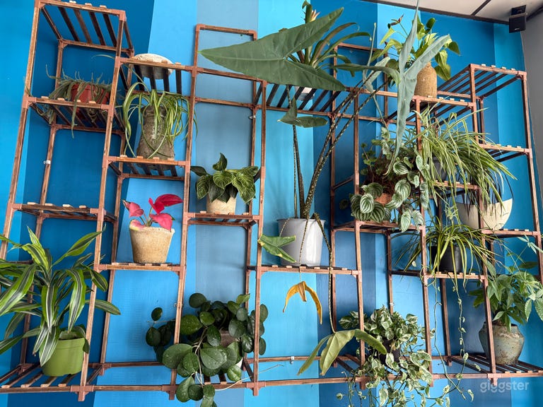  Tranquilidad, encanto y carácter definen esta hermosa cafetería 