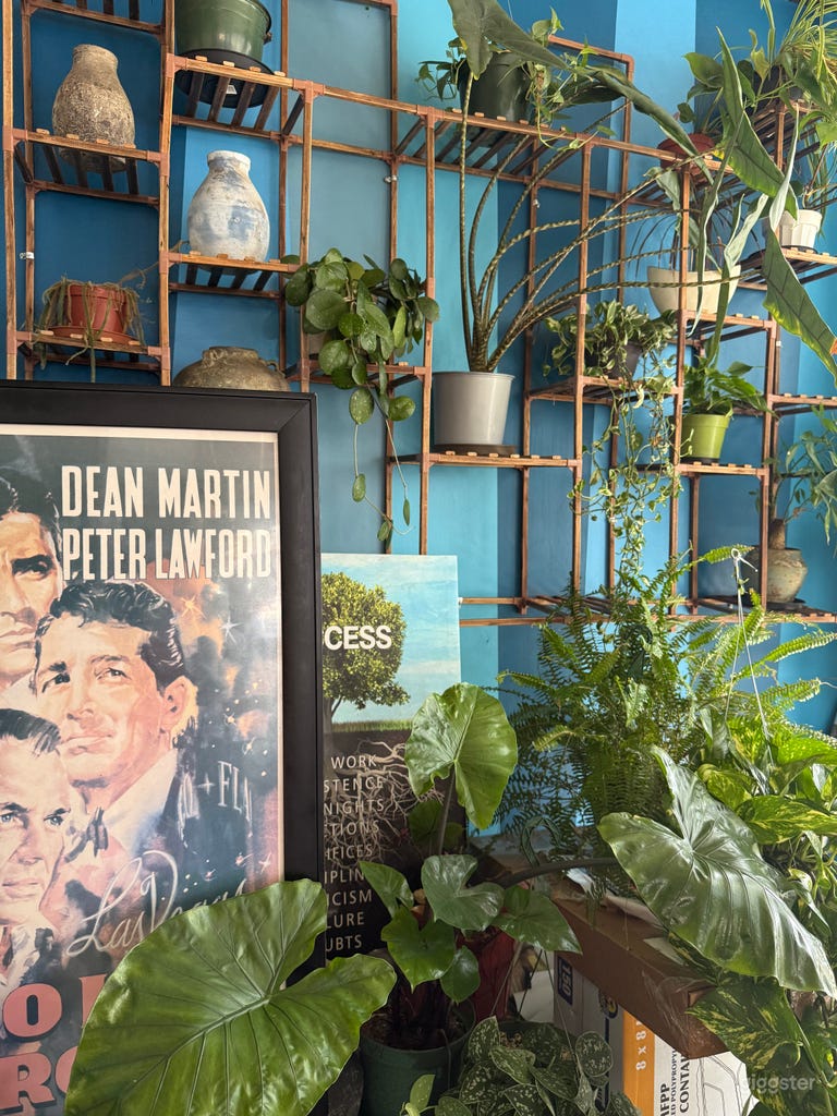  Tranquilidad, encanto y carácter definen esta hermosa cafetería 