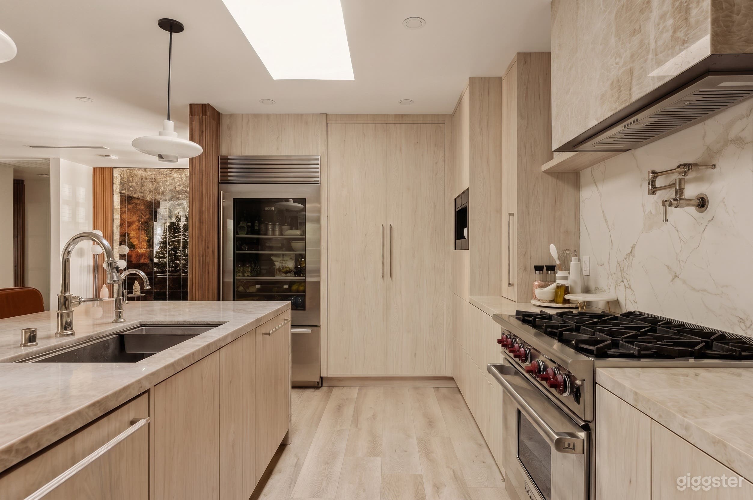 Modern Light-Filled Kitchen Home Photo 2