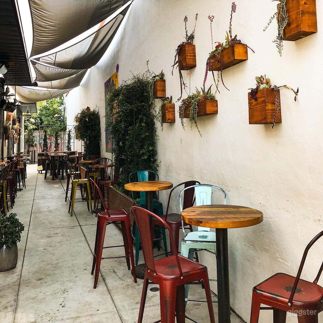 Outdoor Venue - PET Friendly Patio Photo 4