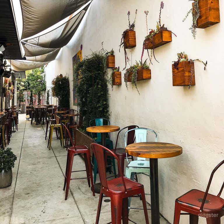  Outdoor Venue - PET Friendly Patio 