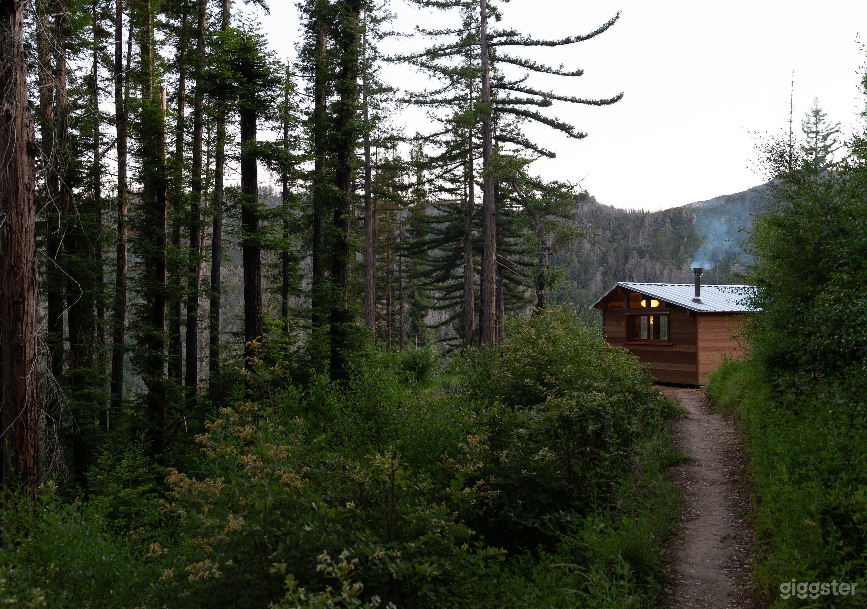 Cozy cabin in the redwoods Photo 3