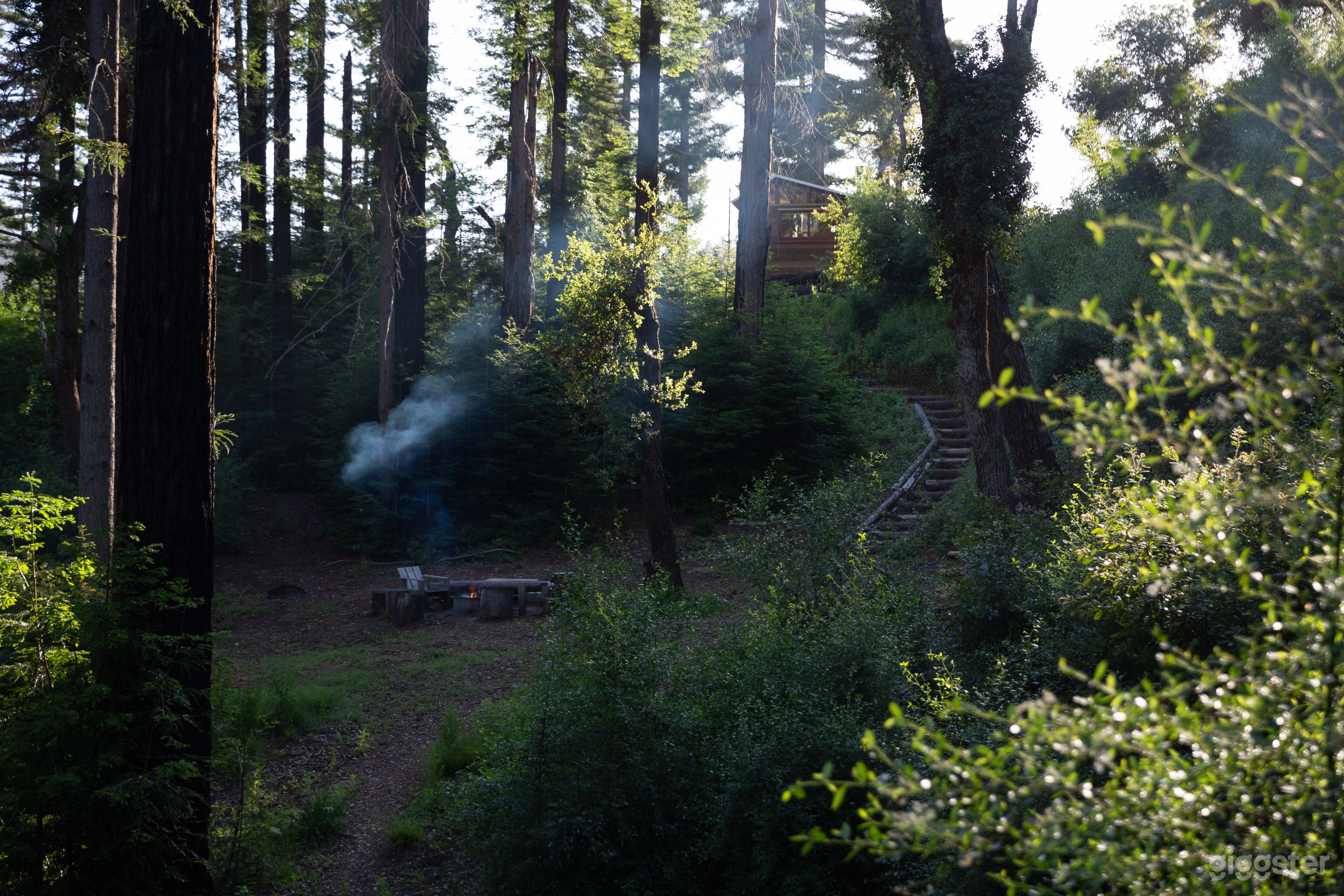 Cozy cabin in the redwoods Photo 2