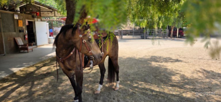  Propiedad de Rancho de Caballos con Gran Granero 