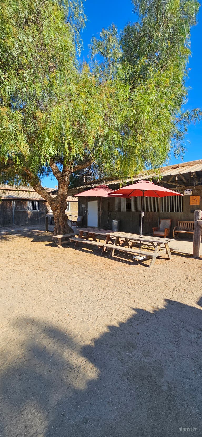  Horse Ranch Property with Large Barn 