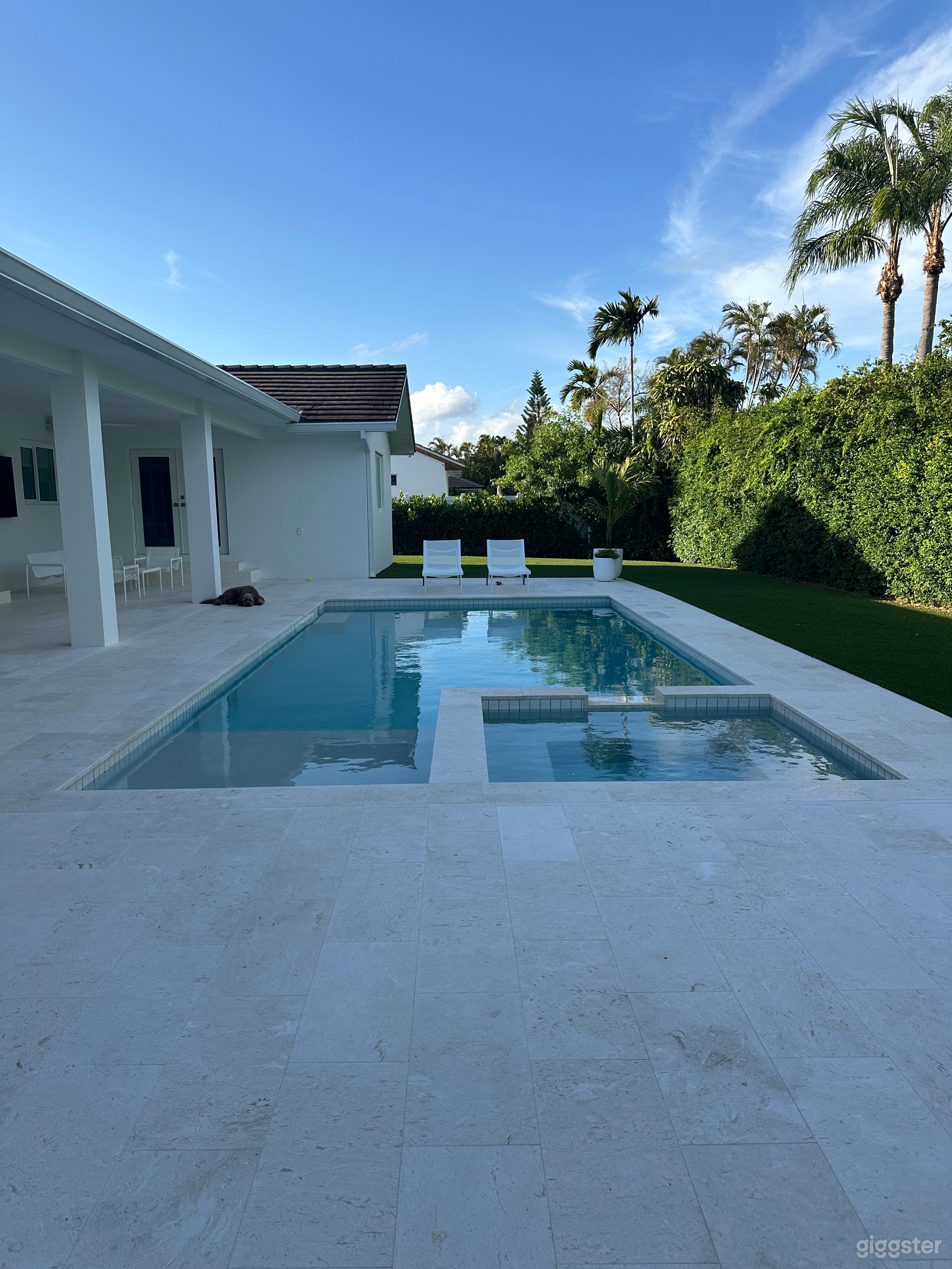 Bright Miami Modern Pool Oasis Photo 2