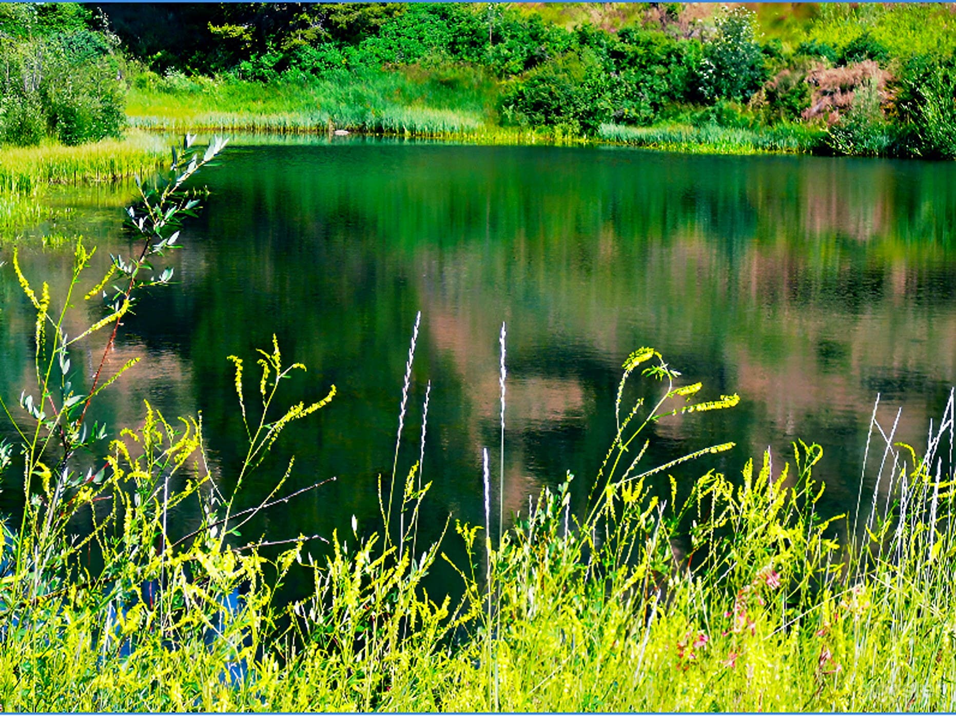 Full Ranch Buyout + Home: 11,000 Sq. Ft. Custom Estate Photo 2