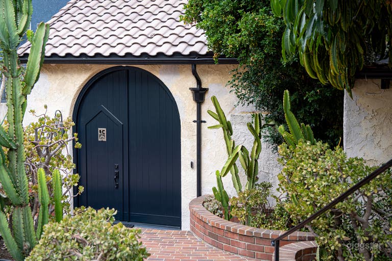  Front door to house - 16 feet tall, includes wicket door. 